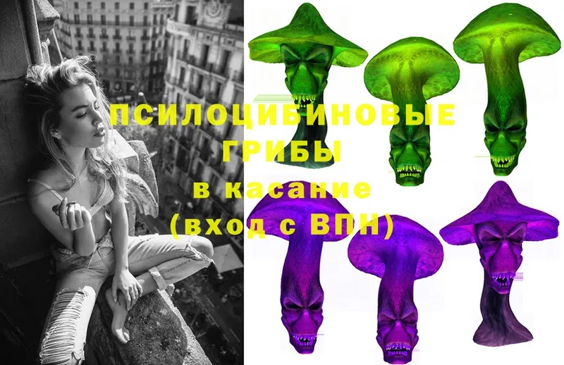 Псилоцибиновые грибы Psilocybe Иннополис